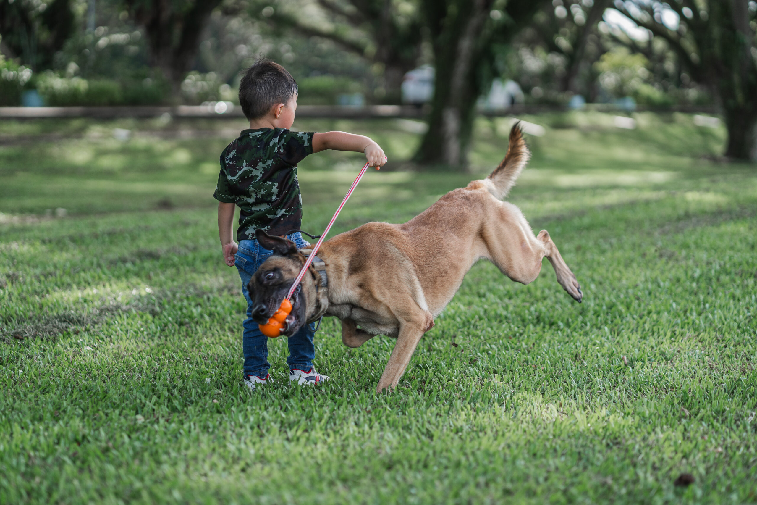 Argo playing fetch-5