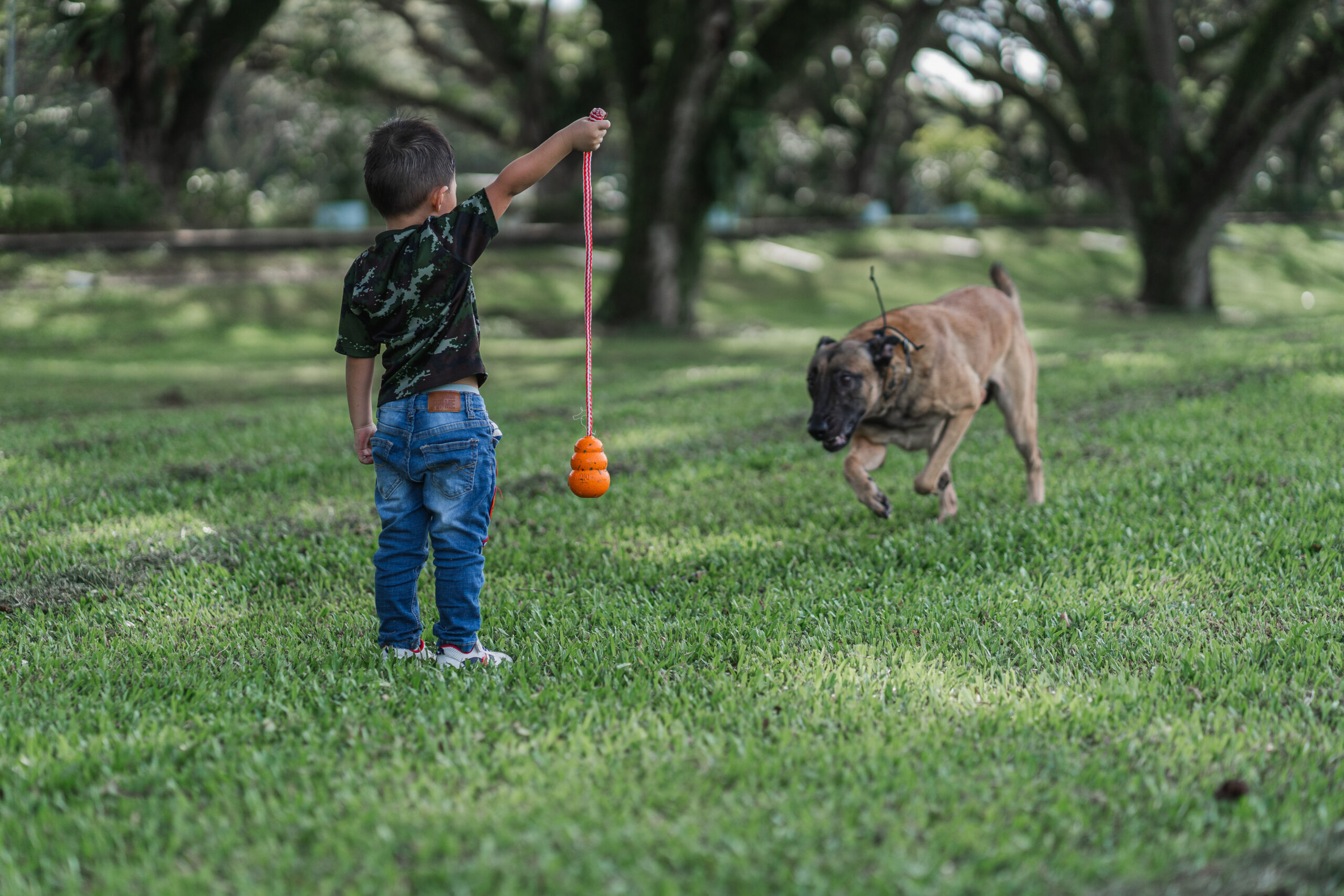 Argo playing fetch-6