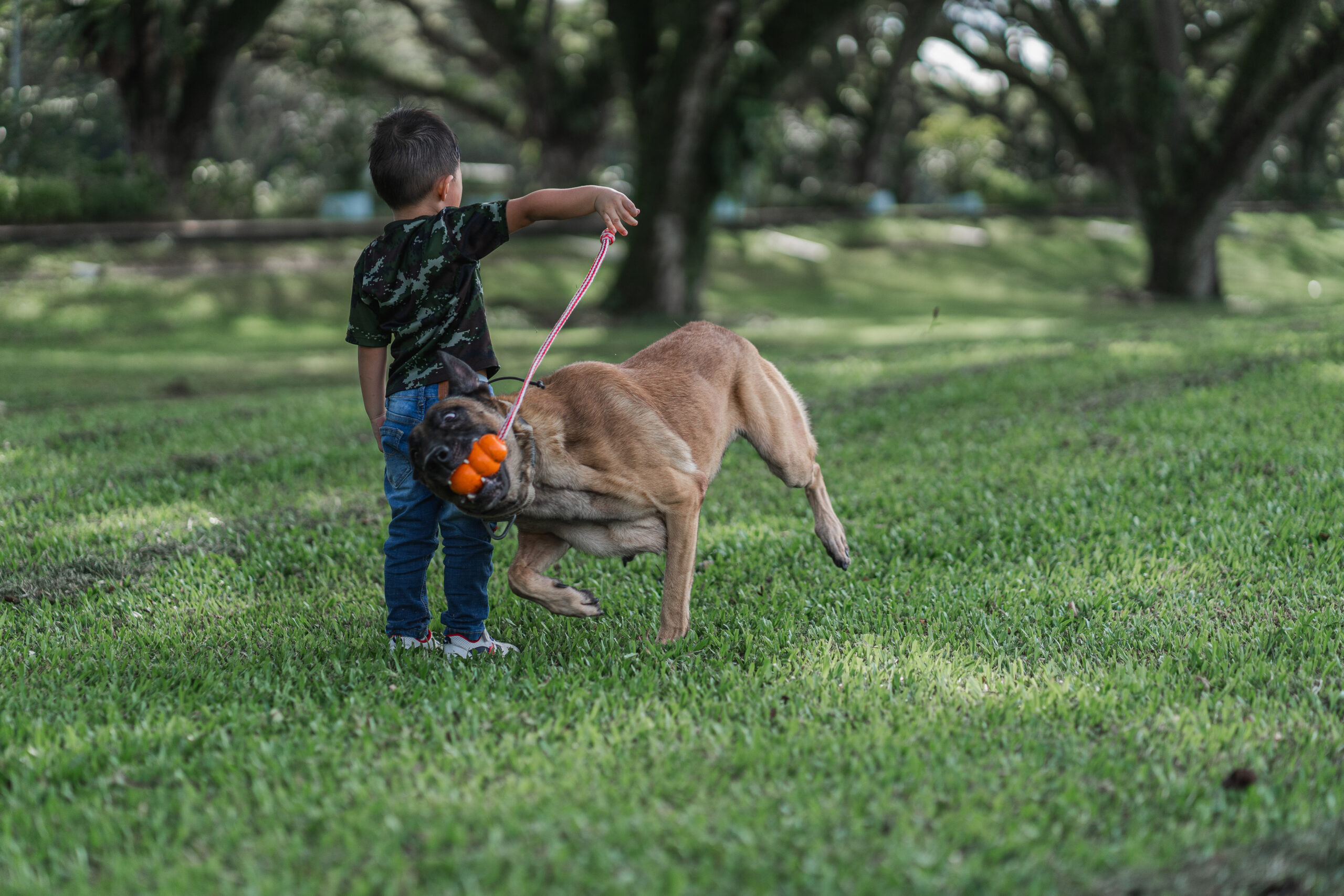 Argo playing fetch-8(1)